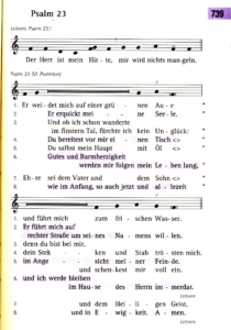 Auszug aus dem Gesangsbuch: Palm 23, Introitus